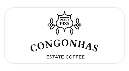 2 - 2023-07-18T110915.332