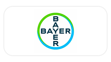 2 - 2023-07-18T114924.598