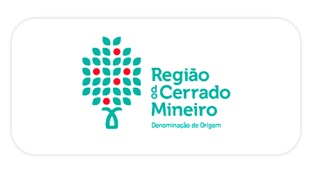 4 - 2023-07-18T114934.967