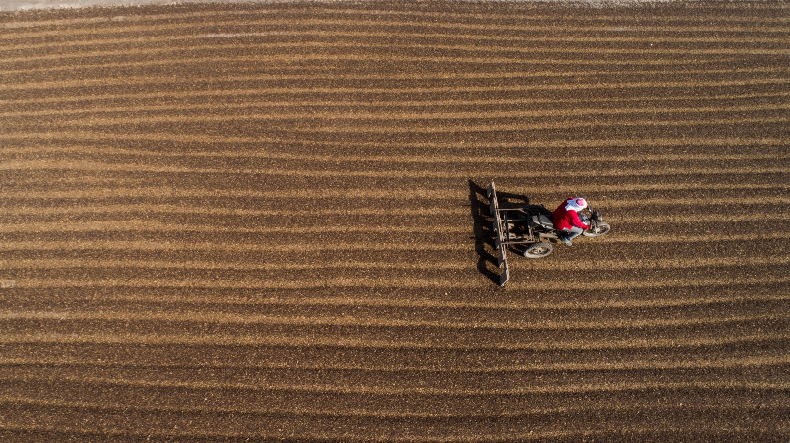 WhatsApp Image 2023-09-01 at 12.59.12 PM